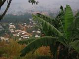 village cameroun
