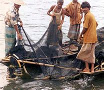 pêcheurs lavant leurs filets
